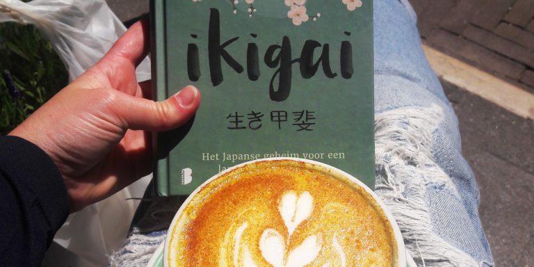 Boek Ikigai bij Anne & Max