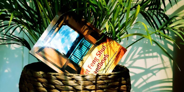 Het Feng Shui Handboek met palm