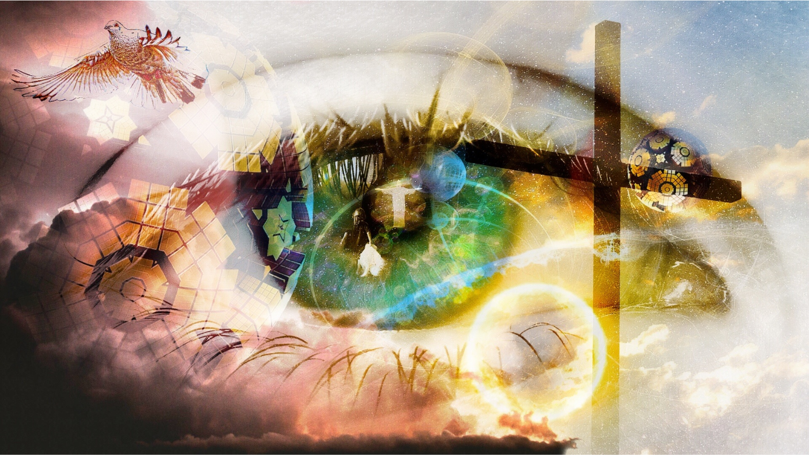 Het ontwaakte brein: spiritualiteit als remedie tegen depressie